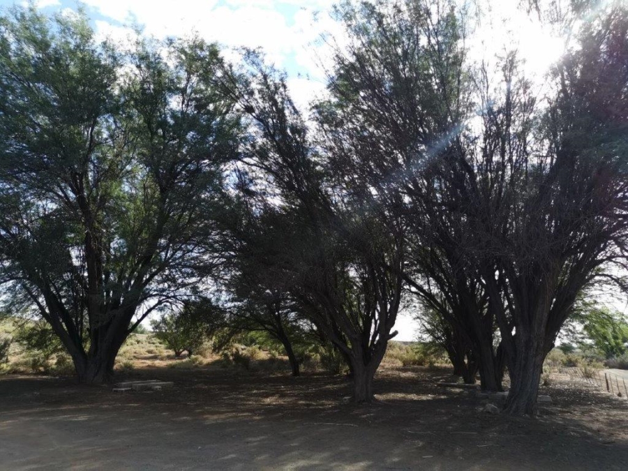 3 Bedroom Property for Sale in Loeriesfontein Northern Cape